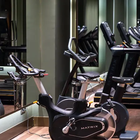 Hotel Delta By Marriott Levent 5*